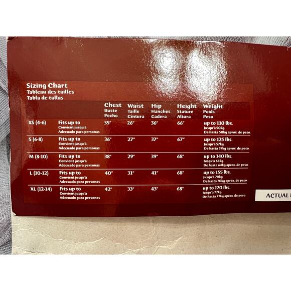 California Costumes Haunting Beauty Ghost Costume - Picture 7 of 8